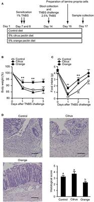 Dietary Fiber Pectin Ameliorates Experimental Colitis in a Neutral Sugar Side Chain-Dependent Manner